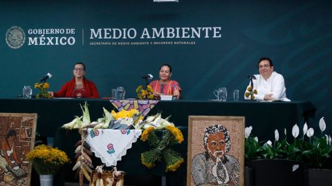 María Luisa Albores 