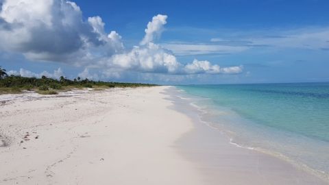 Yum Balam, Isla Grande de Holbox