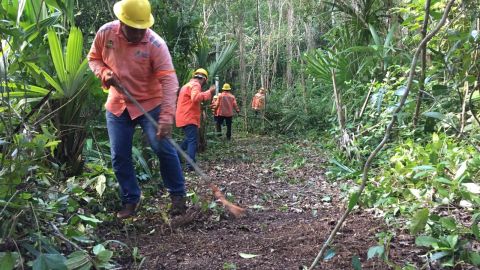 Combatientes de fuego