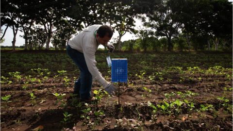 Protección de suelo