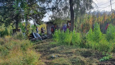Cerro de la estrella
