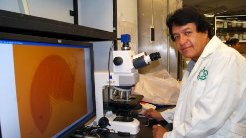 Investigador del IPN