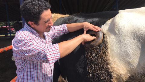 Investigador del IPN