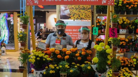 flor de cempasúchil