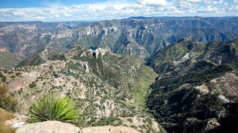 Síguenos en @PortAmbiental