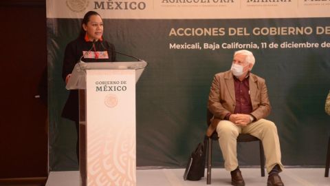 María Luisa Albores 