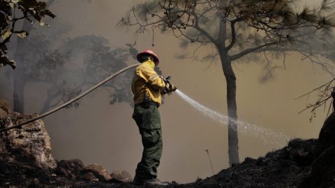 Incendios forestales