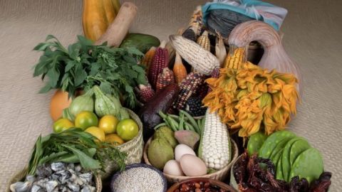 Sobreviviendo a la COVID-19 en México: El remedio olvidado.