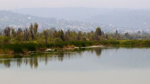 Humedal en CdMx