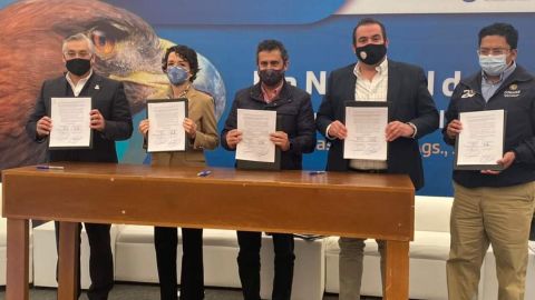 Manifiesto para conservar el Águila Real