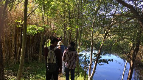 Humedal La Kisst San 