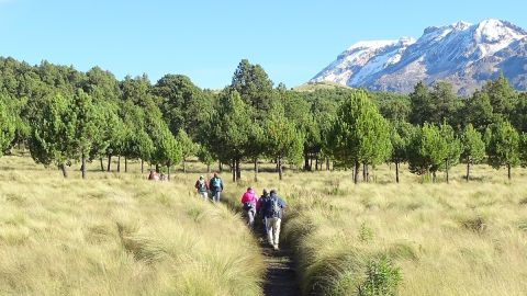 Parque Nacional Iztaccíhuatl Popocatépetl 