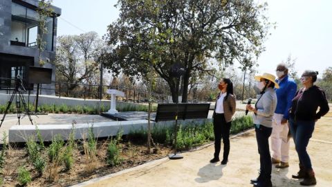 Parque Ecológico de la CdMx