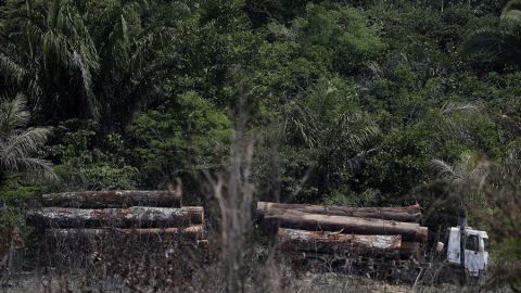  Deforestación en la Amazonía
