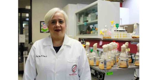 Ninfa María Rosas García 