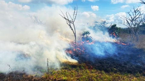 Incendio en Quintana Roo