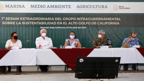 María Luisa Albores