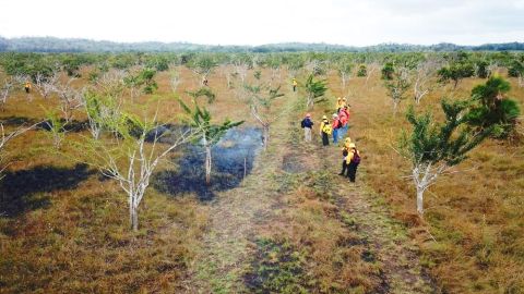 Incendios en Quintana Roo