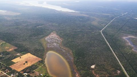 Incendios forestales