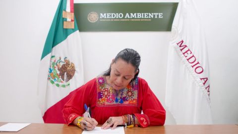 María Luisa Albores