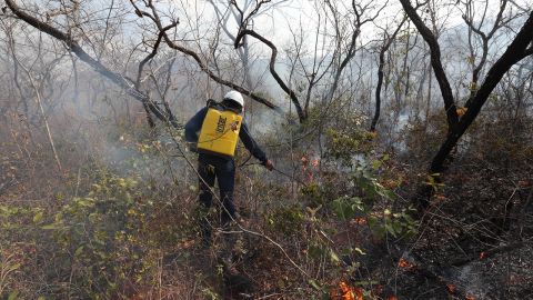 Incendios forestales