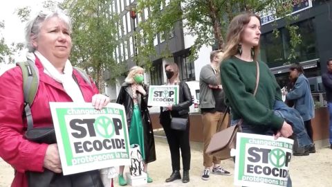 Stop ecocidio