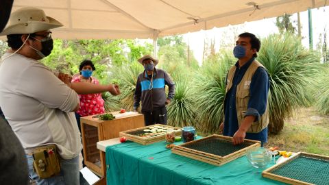 Curso de Huertos Urbanos