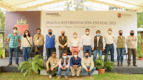 Magna Reforestación Estatal