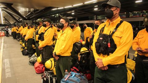 Combatientes forestales