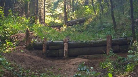 Parque Nacional Desierto de los Leones