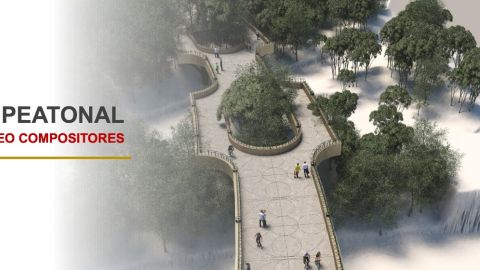 Calzada Flotante Los Pinos