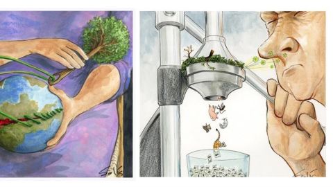 Viñetas ambientales