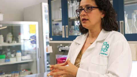 Andrea De Vizcaya Ruiz