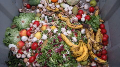 Desperdicio de alimentos