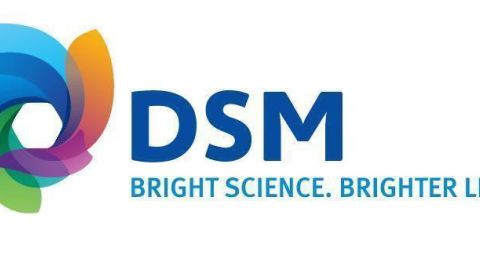 DSM