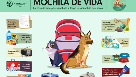 Mochila de vida