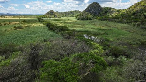 Parque Nacional Palo Verde