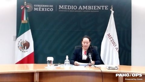 María Luisa Albores