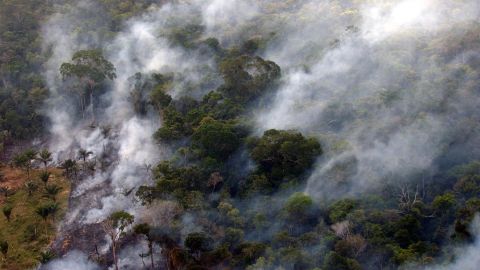 Amazonía brasileña