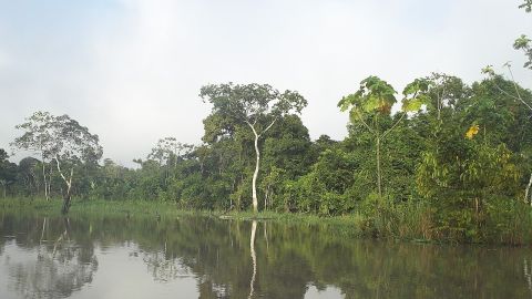 Amazonía peruana