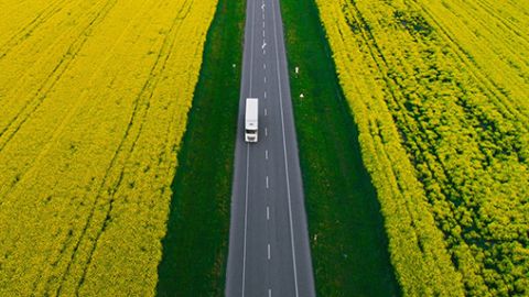 Transporte Thermo King 