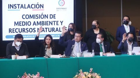 Comisión de medio ambiente