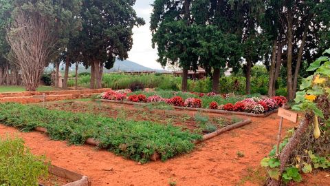 Huerta agrodinámica 