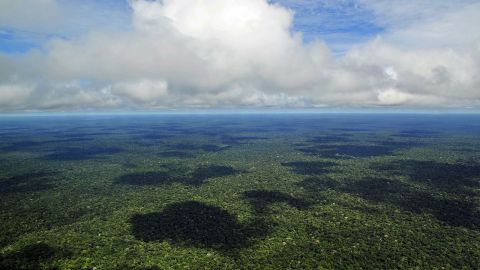 Amazonía