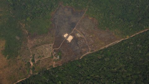 Deforestación en la Amazonía