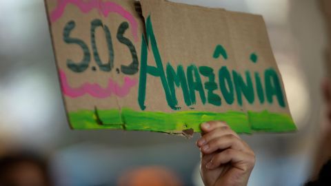 Día de la Amazonía