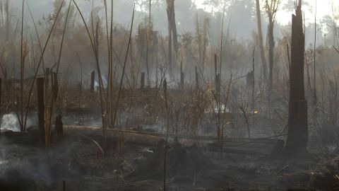 Incendio en la Amazonía