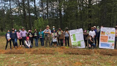 Parque Nacional Cofre de Perote