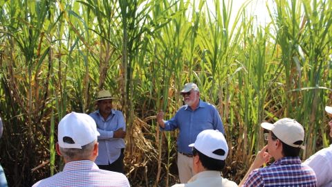 Marcel Morales Ibarra