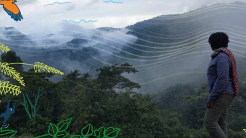 Campeones de la Tierra